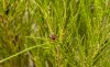 8/8 DSC_3157 site.jpg